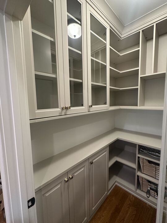 A Pantry designed to create a perfectly organized space with countertop space, drawers, closed cabinets, and shelving.