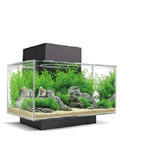 OBI Aquaristik & Tierbedarf im Markt JenaLöbstedt Jetzt besuchen!