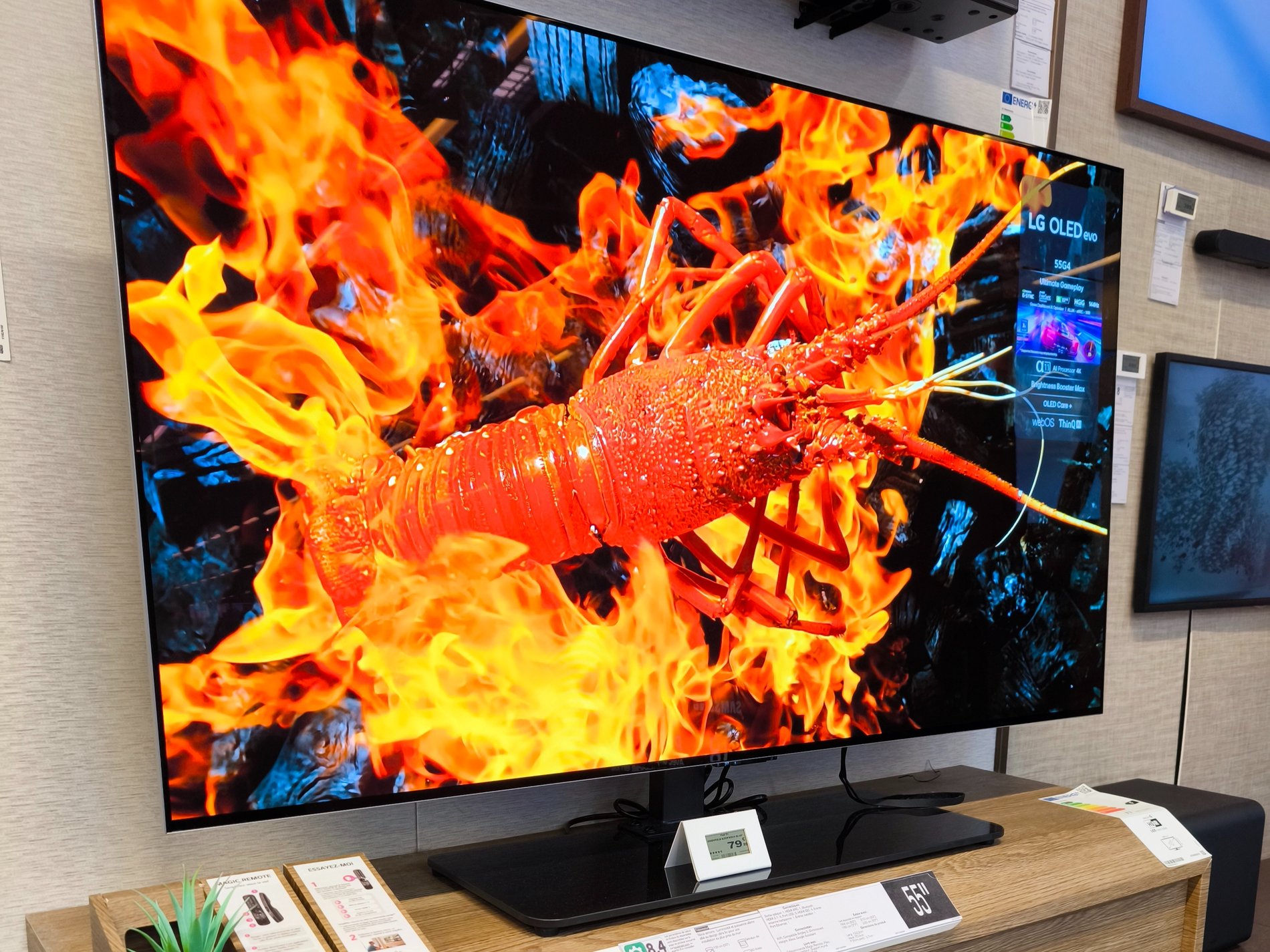 OLED55G4 OLED LG Anglet LG G4 2024