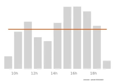 Voir le trafic sur Google maps https://maps.google.com/maps?cid=12235427834182243165