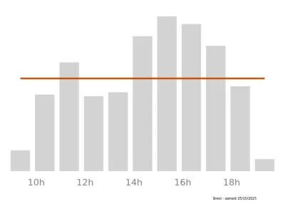 Voir le trafic sur Google maps https://maps.google.com/maps?cid=13680019285438740588