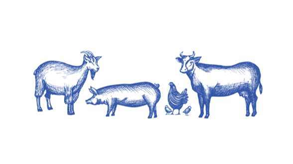 Carson County Livestock Show logo