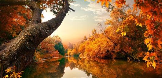 Hero Background Image