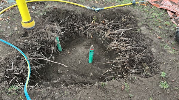 ELLEXA Sàrl, Soins aux arbres à Attalens