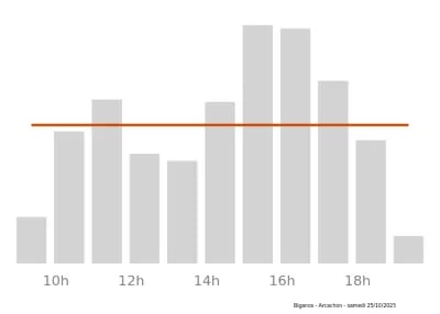 Voir le trafic sur Google maps https://maps.google.com/maps?cid=5692822803072488221