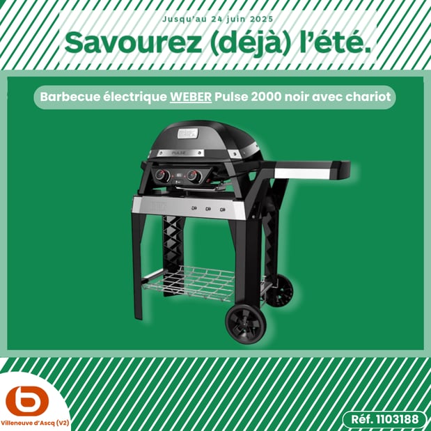 Barbecue électrique WEBER Pulse 2000 noir avec chariot