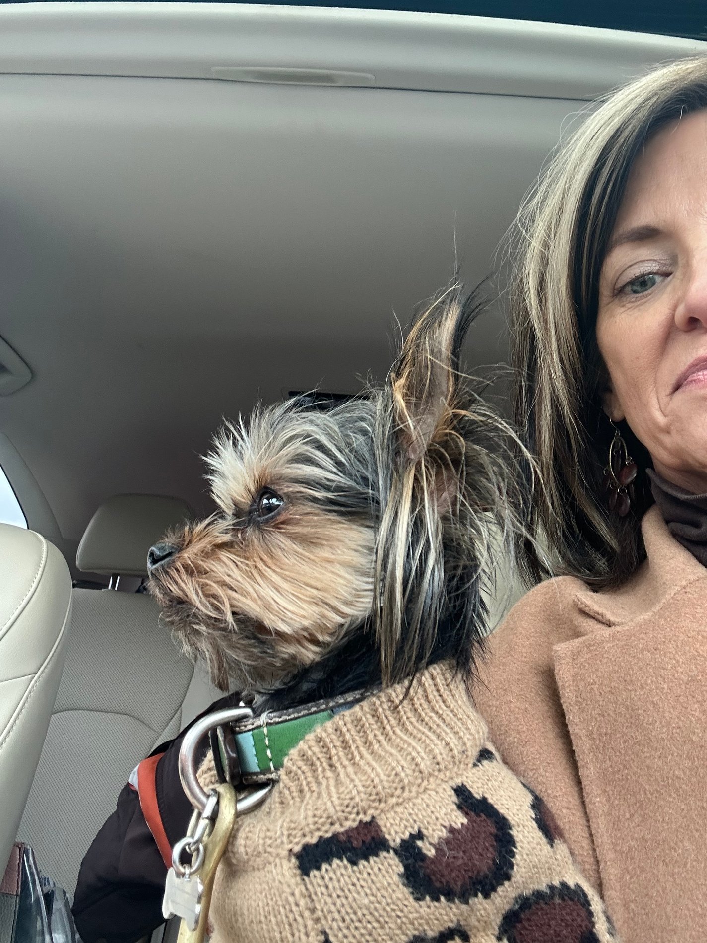 The Botson Agencies, LLC Marblehead, OH