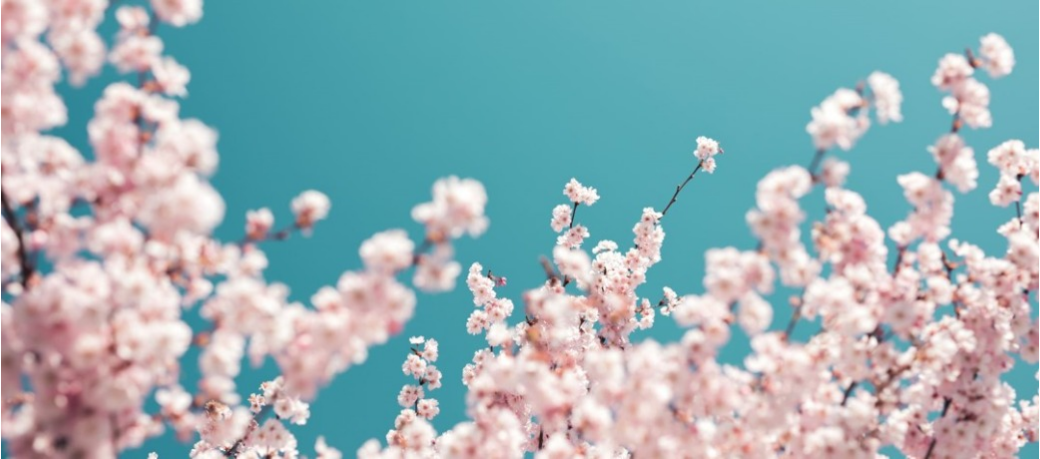 Hero Background Image