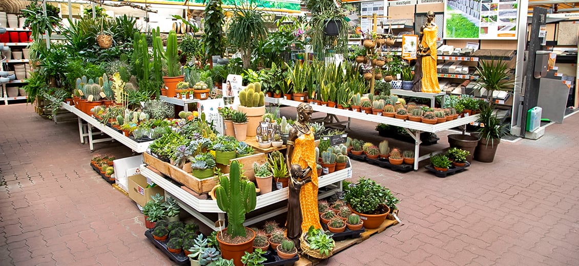54+ Obi Markt Neustrelitz, Neben öffnungszeiten, adresse und