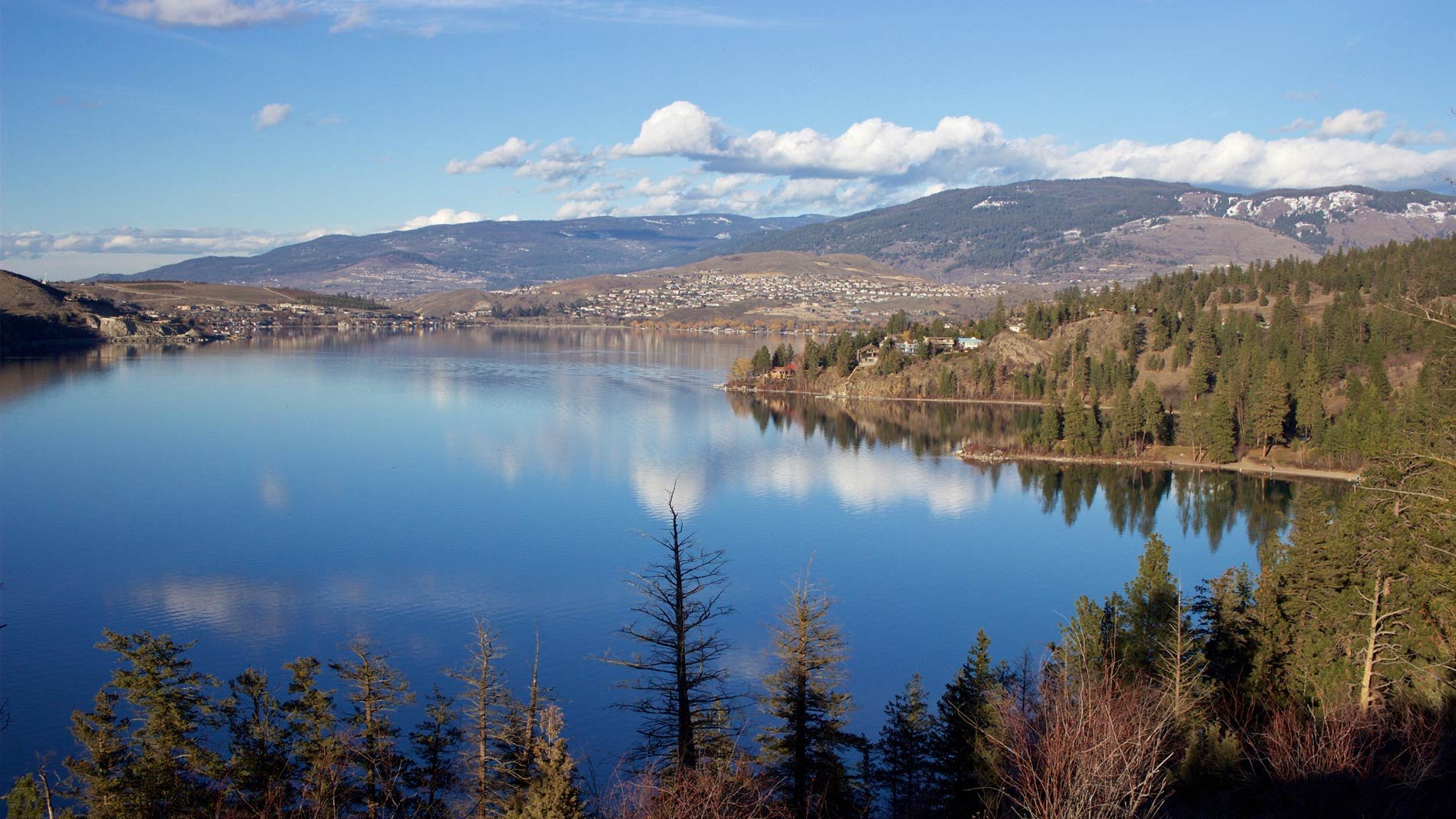 A view of a calm lake during the daytime in the Okanagan Valley in Vernon, British Columbia