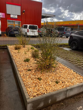 Thury Paysagiste & Services – Création de massif paysager à Yverdon-les-Bains avec pose de bordures, plantations et paillage décoratif pour délimiter un parking privé et un parking public.