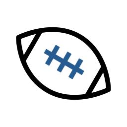 Icon Image
