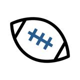 Icon Image