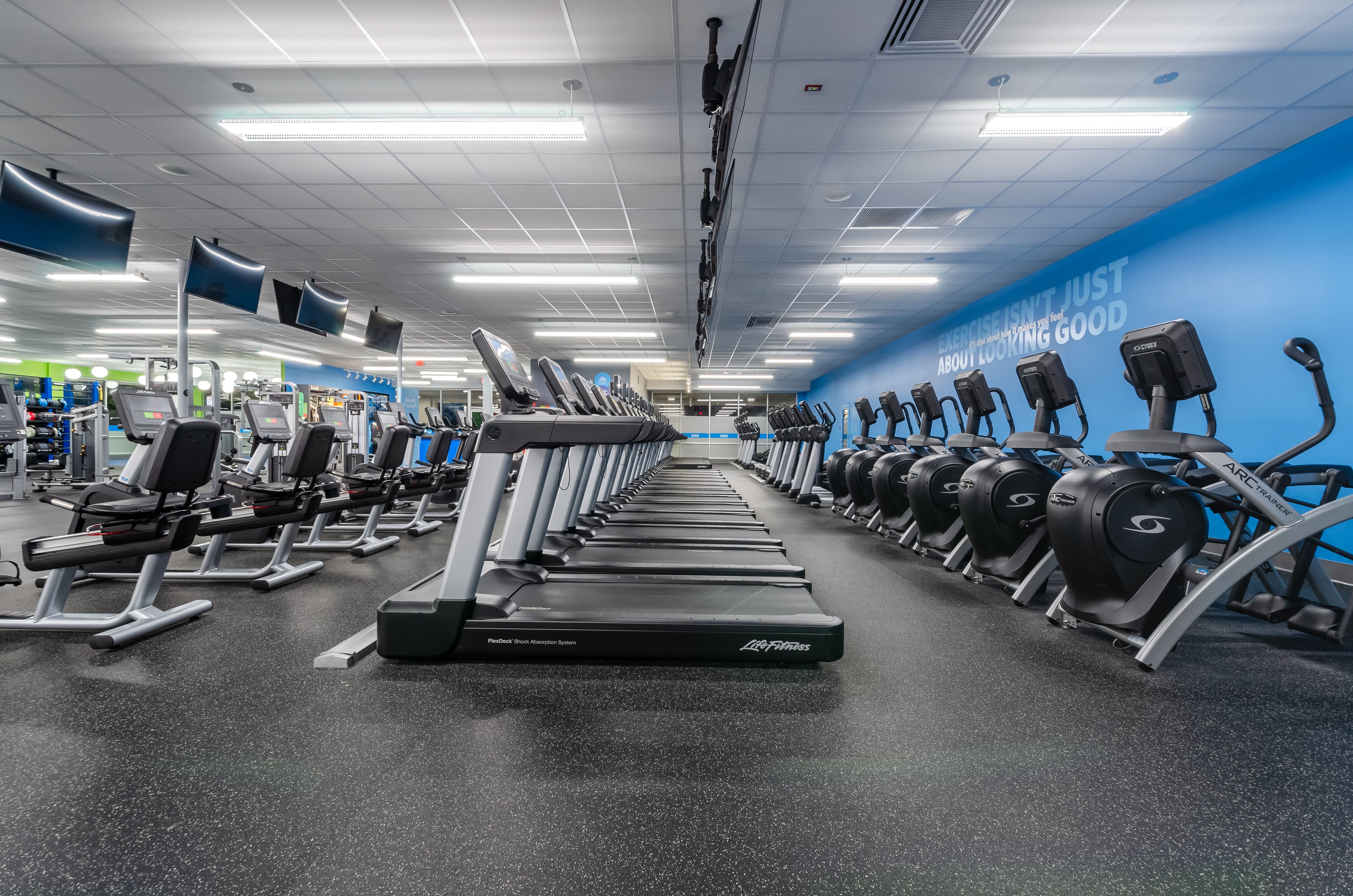 All Access Blink Gym Membership 97 - mit9sx7