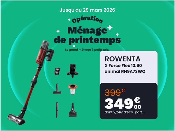 Aspirateur balai ROWENTA X Force Flex 13.60 animal RH9A73WO