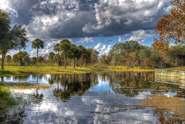 Fiber internet in Saint Cloud, FL