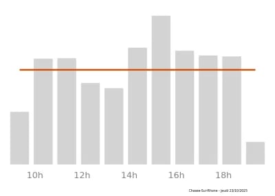 Voir le trafic sur Google maps https://maps.google.com/maps?cid=7163063042486340216