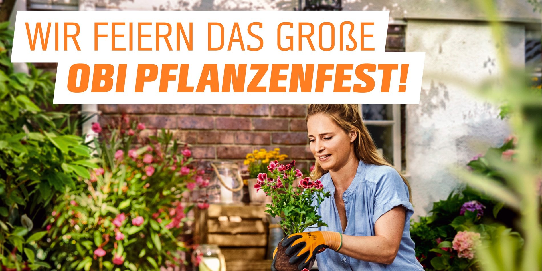 OBI Pflanzenfest Dein Event im Markt