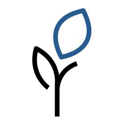 Icon Image