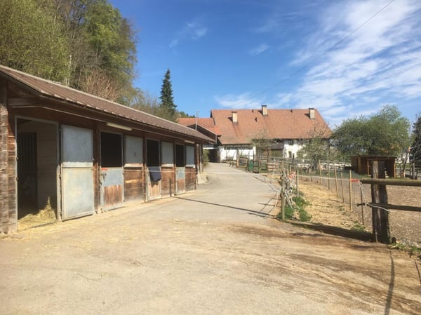 Douceur d'Ebène - Granges (Veveyse) - Domaine