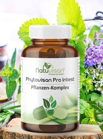 Phytovisan Pro Intest Parasiten Kur