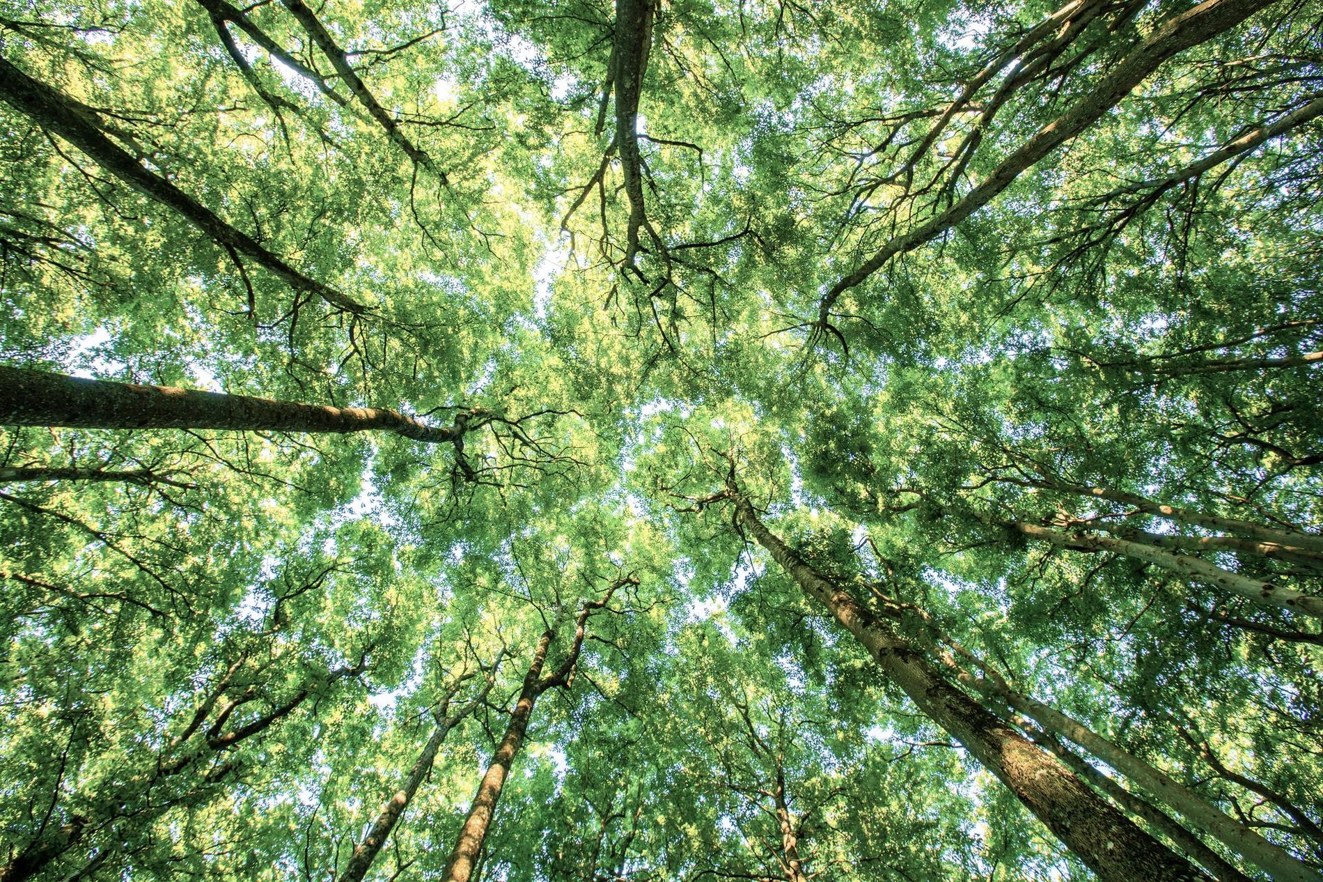 Hero Background Image