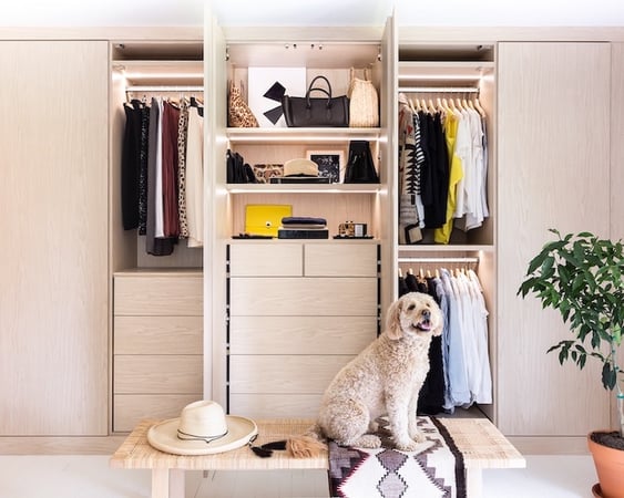 Master wardrobe featuring Rufus the golden-doodle.