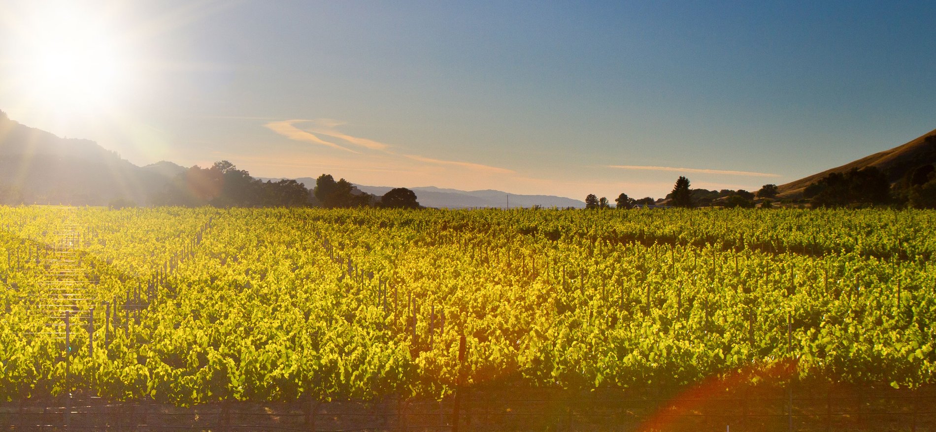 Hero Background Image