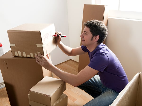 Office Moving Boxes - Piggy Boxes