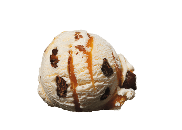 No Sugar Added Caramel Turtle Truffle