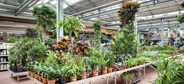 OBI Gartencenter Aachen, Debyestr. alles für deinen Garten