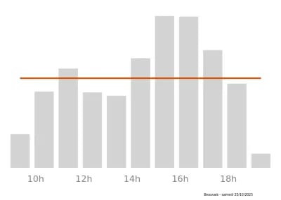 Voir le trafic sur Google maps https://maps.google.com/maps?cid=10685131113866877461