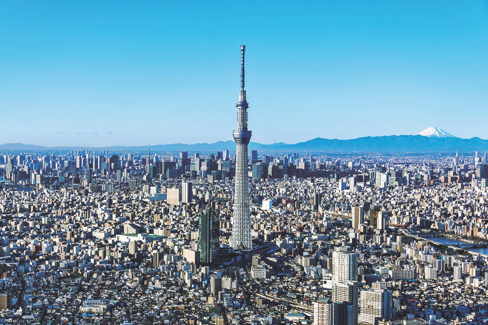 東京のシンボルで特別な体験を 東京スカイツリー R の楽しみ方 東京