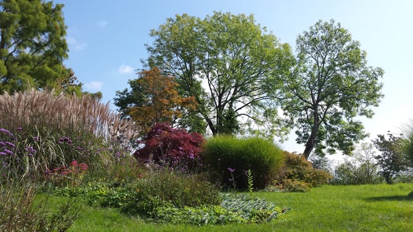Gartenanlage und Arboretum unter unserer Pflege