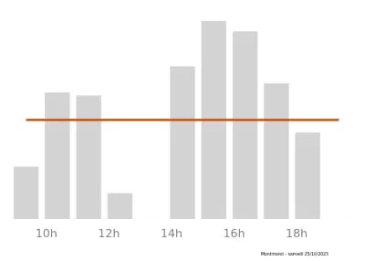 Voir le trafic sur Google maps https://maps.google.com/maps?cid=1615171014227986885