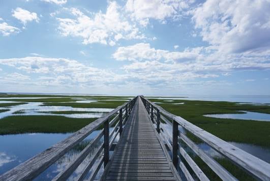 Hero Background Image