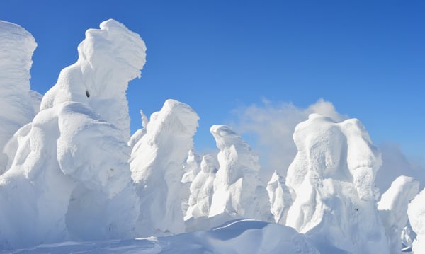 冬は樹氷を楽しみに蔵王を訪れるという人も（画像はイメージです）