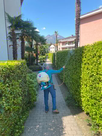 Selim Giardini - Manutenzione giardini