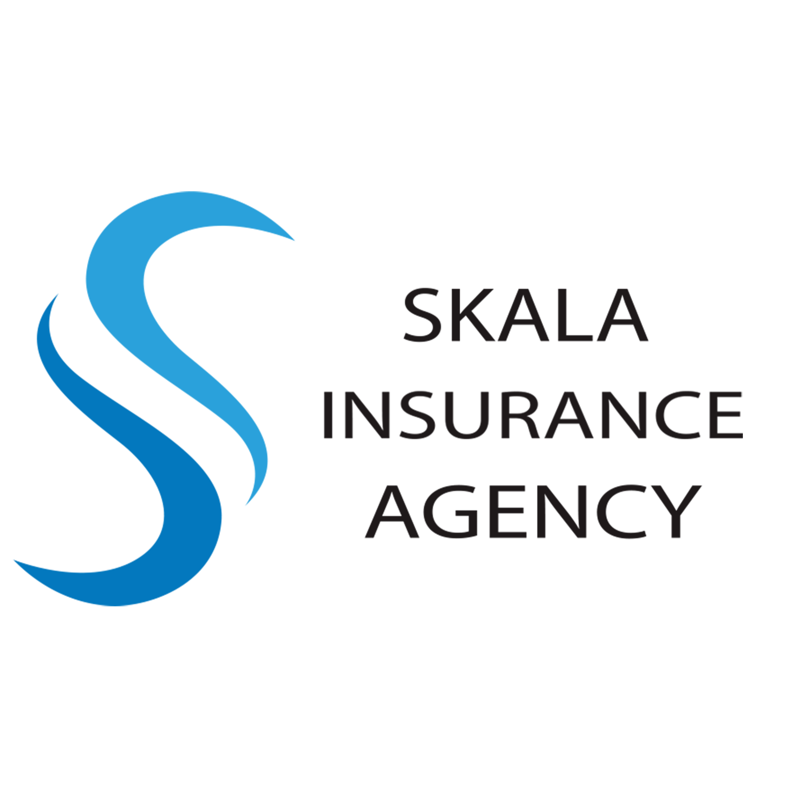 Kim Skala, Insurance Agent