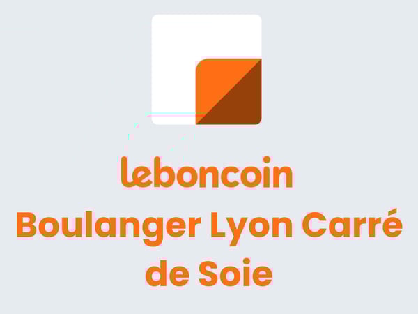 Image d'une affiche Leboncoin Boulanger Lyon carré de soie