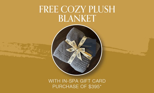 Free Cozy Plush Blanket*