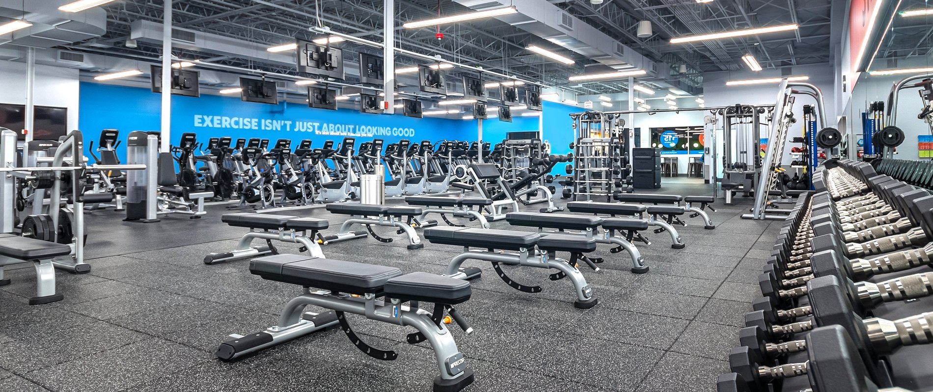 All Blink Fitness Gyms cardio equipment, strength equipment, gym equipment, gym near me