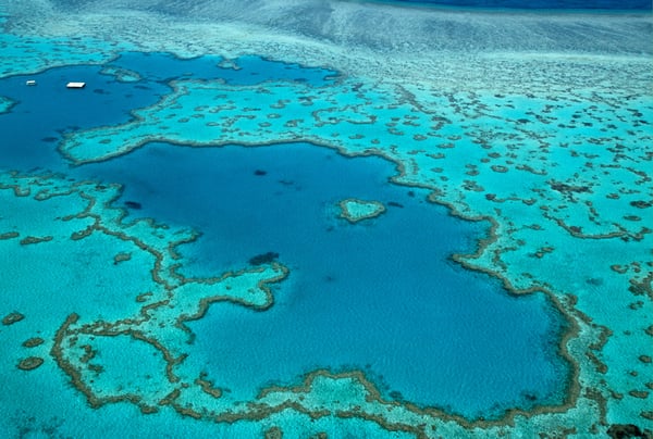 グレートバリアリーフ