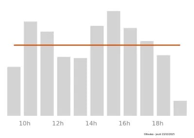 Voir le trafic sur Google maps https://maps.google.com/maps?cid=3532611738185995035