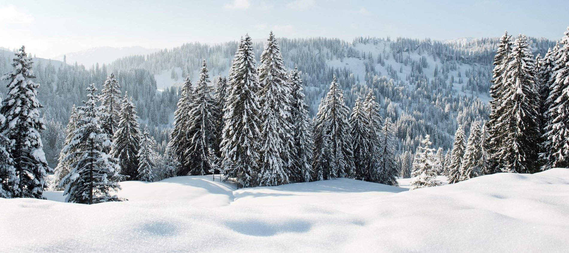 Hero Background Image