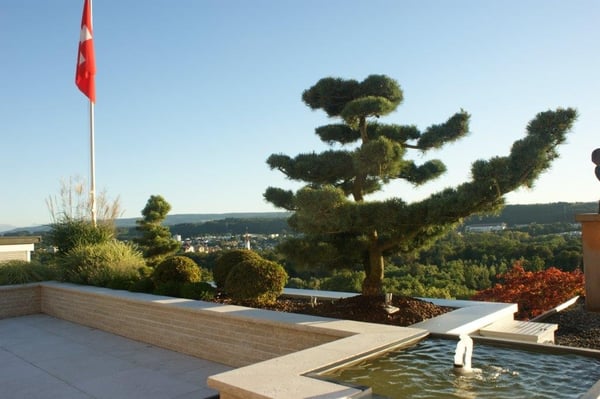 Bonsai mit Springbrunnen  von garbatec ag in Beringen