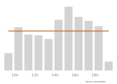Voir le trafic sur Google maps https://maps.google.com/maps?cid=10685131113866877461