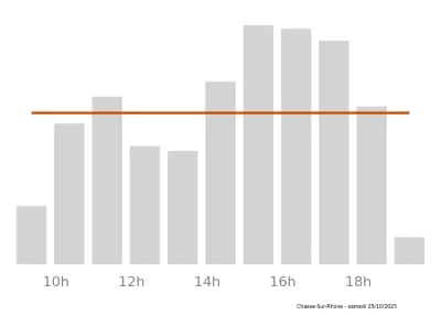 Voir le trafic sur Google maps https://maps.google.com/maps?cid=7163063042486340216