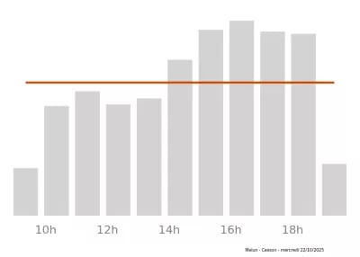 Voir le trafic sur Google maps https://maps.google.com/maps?cid=10543013899849435643