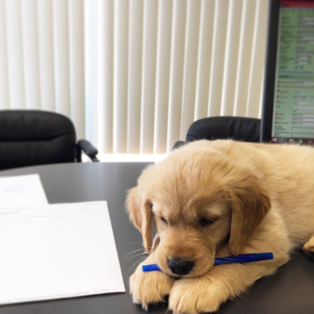 Allstate Car Insurance in Durand, MI Christi Johnson